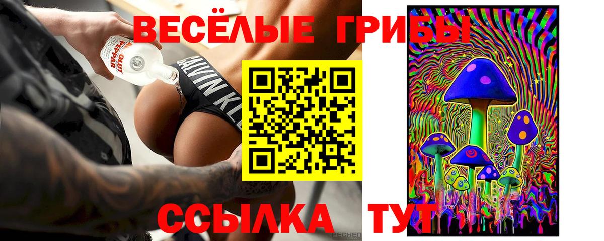 Галлюциногенные грибы Psilocybine cubensis  Галлюциногенные грибы MAGIC MUSHROOMS  Вход с VPN  Юрга 